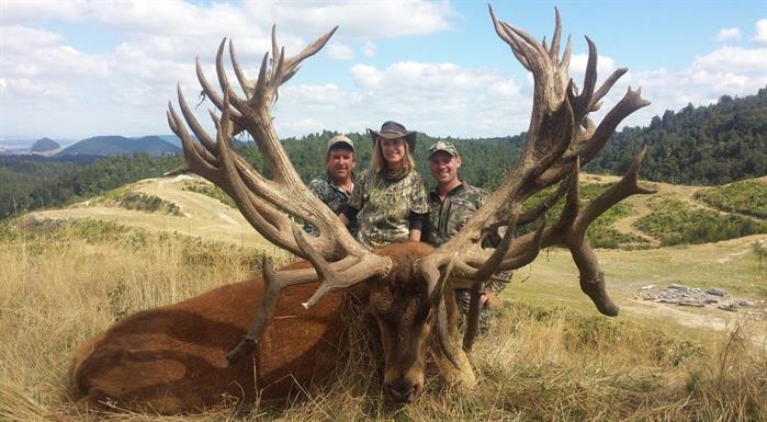 Elk